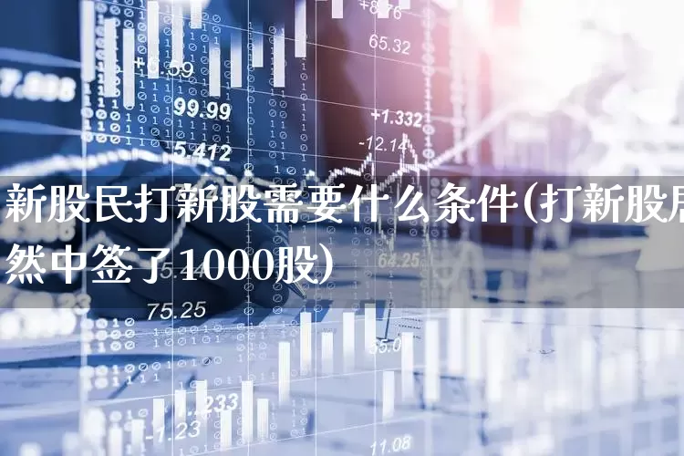新股民打新股需要什么条件(打新股居然中签了1000股)_https://www.wanyuyiyao.com_科创板_第1张