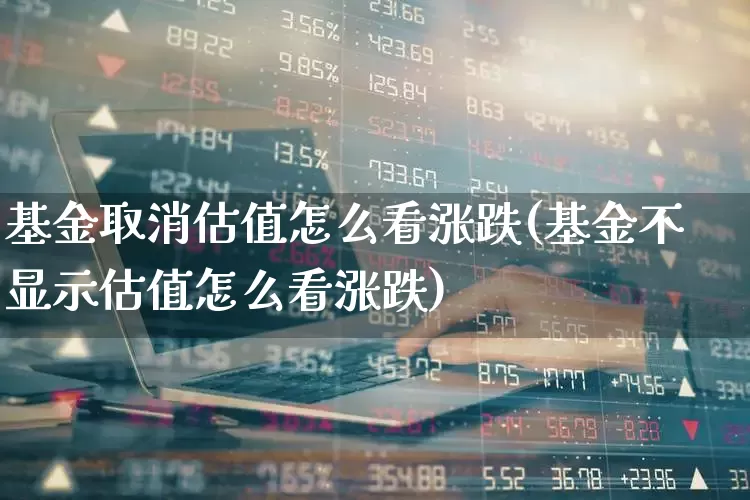 基金取消估值怎么看涨跌(基金不显示估值怎么看涨跌)_https://www.wanyuyiyao.com_上交所_第1张