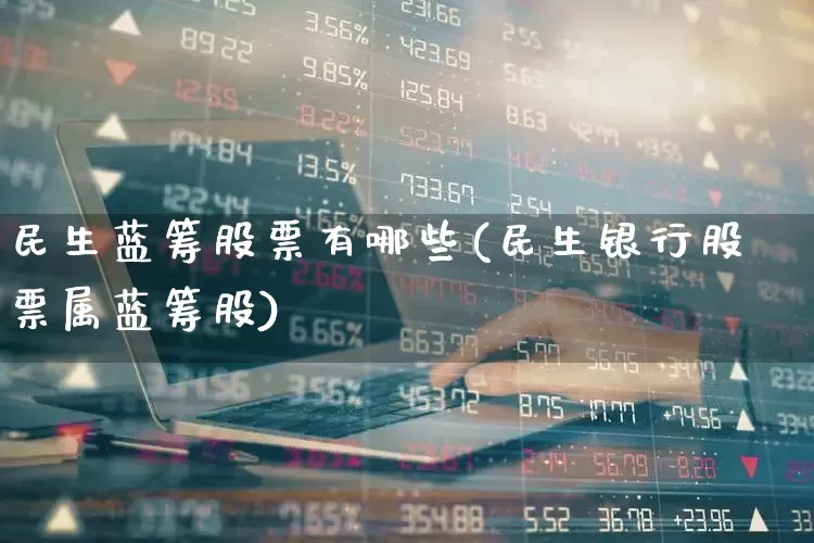 民生蓝筹股票有哪些(民生银行股票属蓝筹股)_https://www.wanyuyiyao.com_深交所_第1张