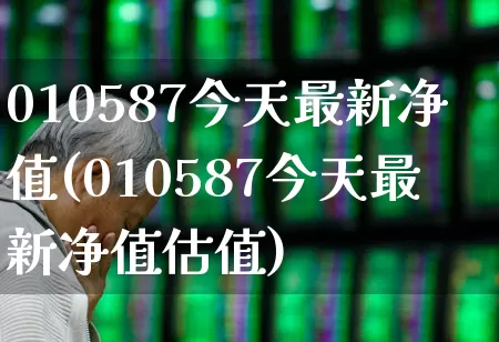 010587今天最新净值(010587今天最新净值估值)_https://www.wanyuyiyao.com_上交所_第1张