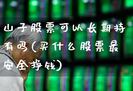 山子股票可以长期持有吗(买什么股票最安全挣钱)_https://www.wanyuyiyao.com_深交所_第1张