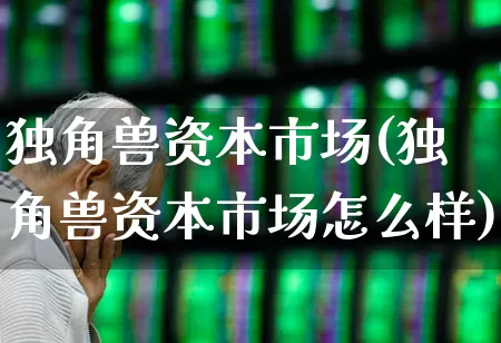 独角兽资本市场(独角兽资本市场怎么样)_https://www.wanyuyiyao.com_深交所_第1张