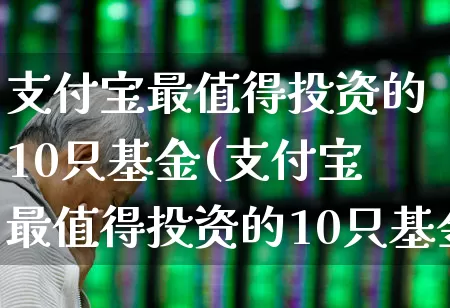 支付宝最值得投资的10只基金(支付宝最值得投资的10只基金是什么)_https://www.wanyuyiyao.com_科创板_第1张
