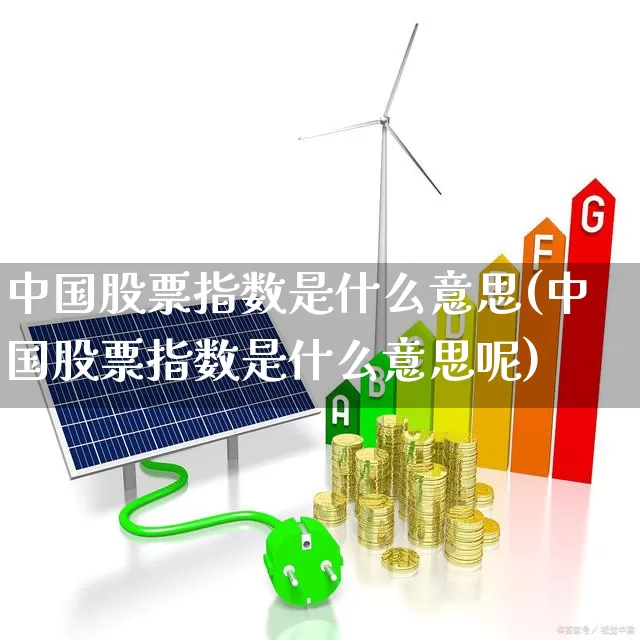 中国股票指数是什么意思(中国股票指数是什么意思呢)_https://www.wanyuyiyao.com_上交所_第1张