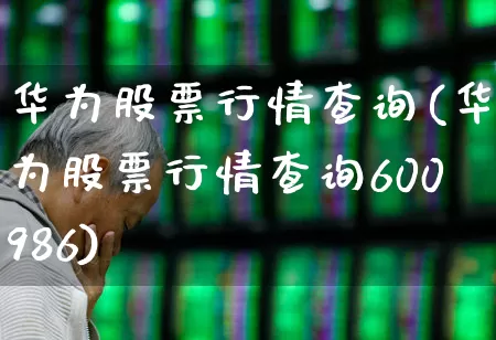 华为股票行情查询(华为股票行情查询600986)_https://www.wanyuyiyao.com_创业板_第1张