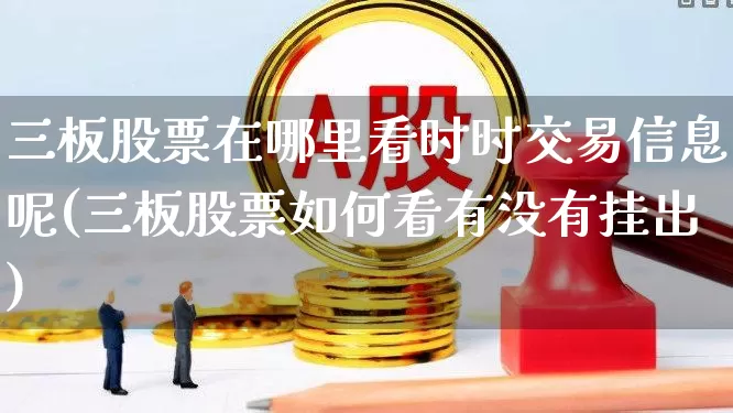 三板股票在哪里看时时交易信息呢(三板股票如何看有没有挂出)_https://www.wanyuyiyao.com_创业板_第1张