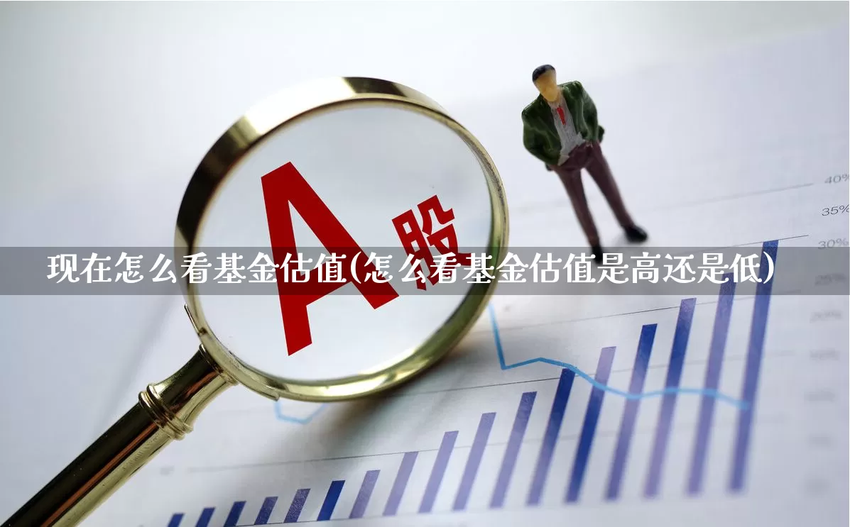 现在怎么看基金估值(怎么看基金估值是高还是低)_https://www.wanyuyiyao.com_深交所_第1张
