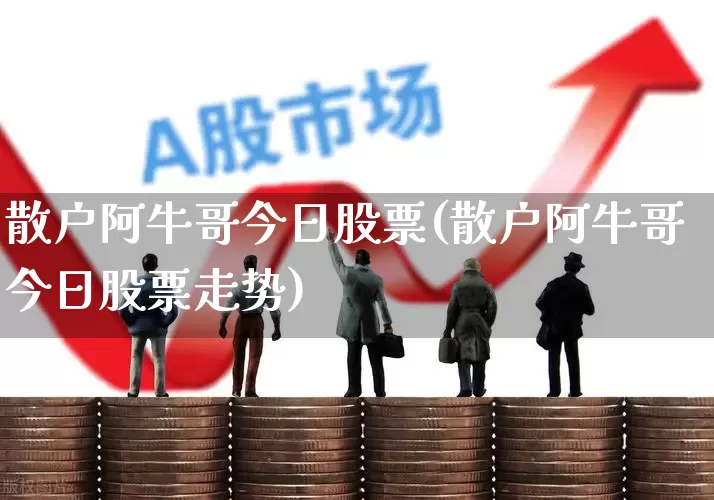 散户阿牛哥今日股票(散户阿牛哥今日股票走势)_https://www.wanyuyiyao.com_创业板_第1张