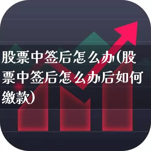 股票中签后怎么办(股票中签后怎么办后如何缴款)_https://www.wanyuyiyao.com_北交所_第1张