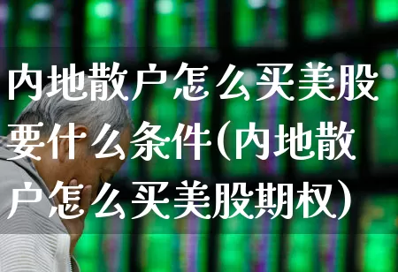 内地散户怎么买美股要什么条件(内地散户怎么买美股期权)_https://www.wanyuyiyao.com_上交所_第1张