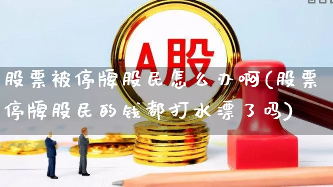 股票被停牌股民怎么办啊(股票停牌股民的钱都打水漂了吗)_https://www.wanyuyiyao.com_上交所_第1张