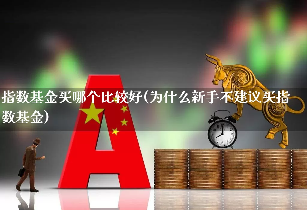 指数基金买哪个比较好(为什么新手不建议买指数基金)_https://www.wanyuyiyao.com_创业板_第1张