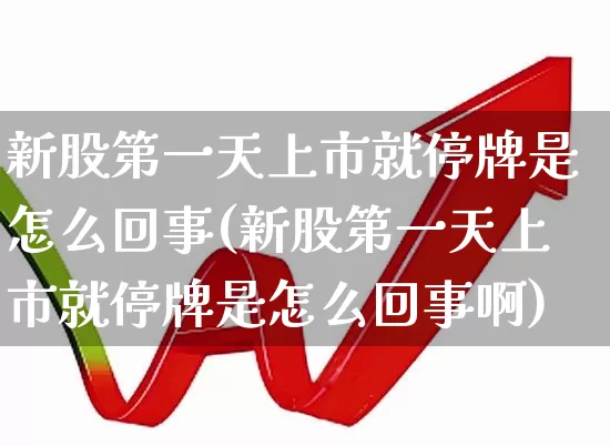 新股第一天上市就停牌是怎么回事(新股第一天上市就停牌是怎么回事啊)_https://www.wanyuyiyao.com_科创板_第1张