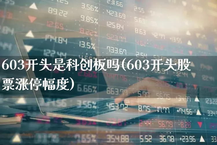 603开头是科创板吗(603开头股票涨停幅度)_https://www.wanyuyiyao.com_科创板_第1张