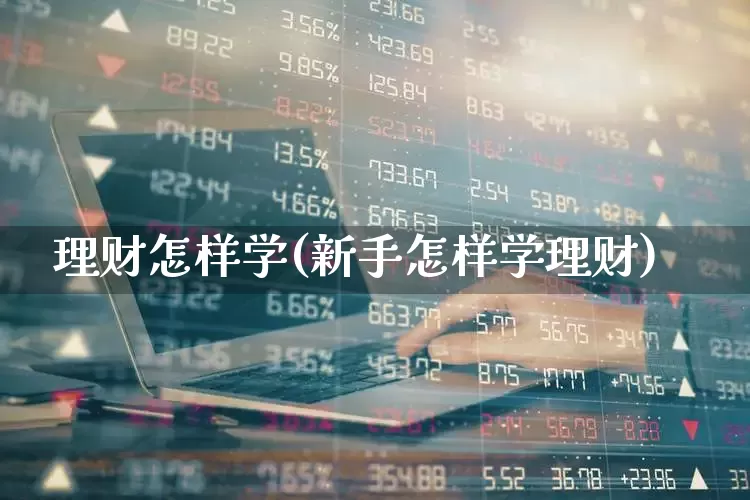 理财怎样学(新手怎样学理财)_https://www.wanyuyiyao.com_创业板_第1张