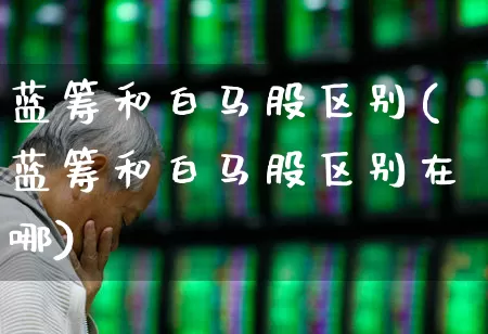 蓝筹和白马股区别(蓝筹和白马股区别在哪)_https://www.wanyuyiyao.com_深交所_第1张
