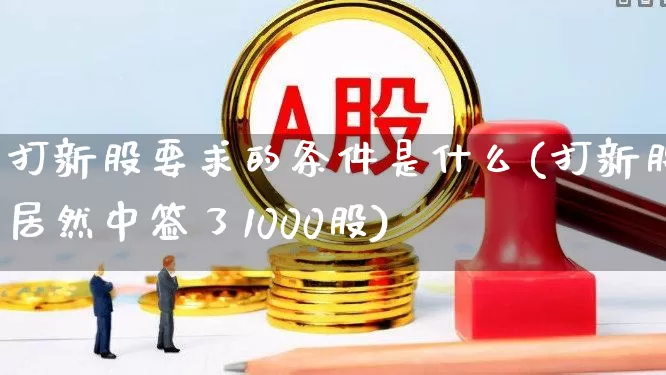 打新股要求的条件是什么(打新股居然中签了1000股)_https://www.wanyuyiyao.com_创业板_第1张