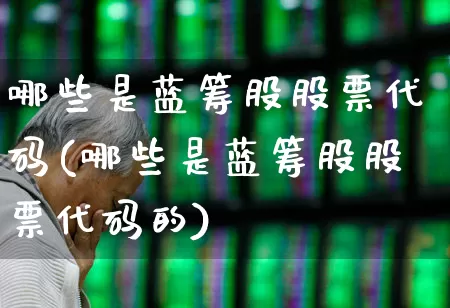 哪些是蓝筹股股票代码(哪些是蓝筹股股票代码的)_https://www.wanyuyiyao.com_创业板_第1张