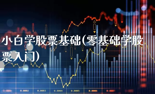 小白学股票基础(零基础学股票入门)_https://www.wanyuyiyao.com_上交所_第1张