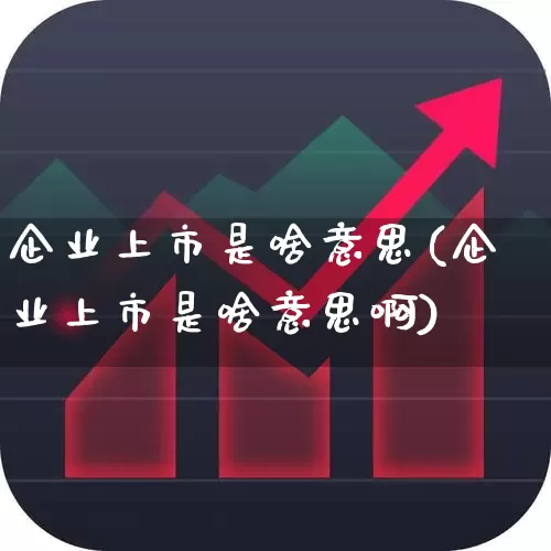 企业上市是啥意思(企业上市是啥意思啊)_https://www.wanyuyiyao.com_上交所_第1张