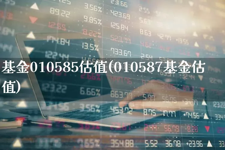 基金010585估值(010587基金估值)_https://www.wanyuyiyao.com_创业板_第1张