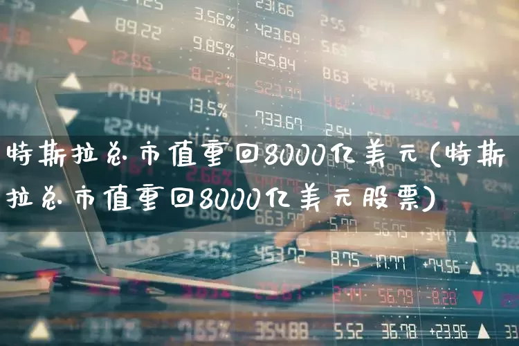 特斯拉总市值重回8000亿美元(特斯拉总市值重回8000亿美元股票)_https://www.wanyuyiyao.com_创业板_第1张