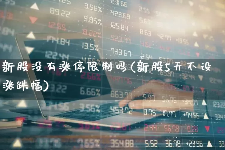 新股没有涨停限制吗(新股5天不设涨跌幅)_https://www.wanyuyiyao.com_深交所_第1张