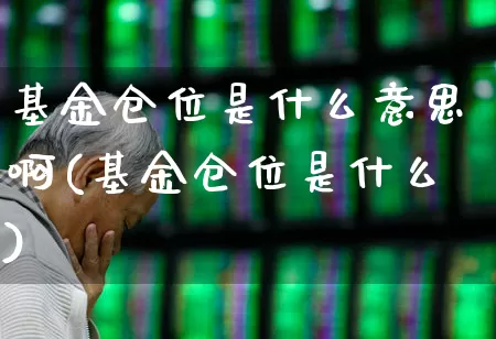 基金仓位是什么意思啊(基金仓位是什么)_https://www.wanyuyiyao.com_北交所_第1张