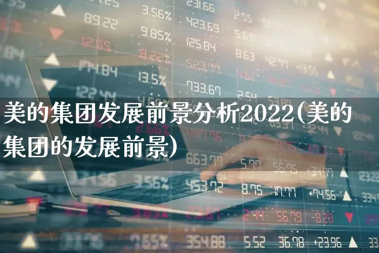 美的集团发展前景分析2022(美的集团的发展前景)_https://www.wanyuyiyao.com_北交所_第1张