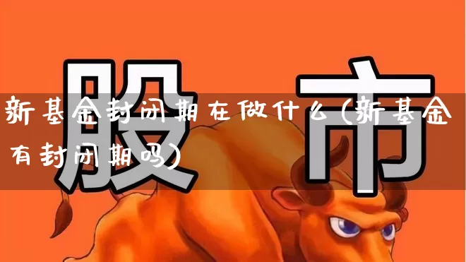 新基金封闭期在做什么(新基金有封闭期吗)_https://www.wanyuyiyao.com_深交所_第1张