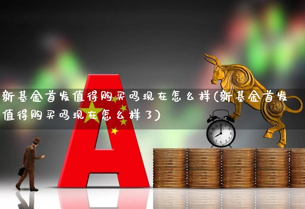 新基金首发值得购买吗现在怎么样(新基金首发值得购买吗现在怎么样了)_https://www.wanyuyiyao.com_上交所_第1张