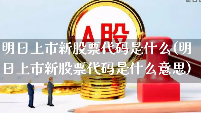 明日上市新股票代码是什么(明日上市新股票代码是什么意思)_https://www.wanyuyiyao.com_深交所_第1张