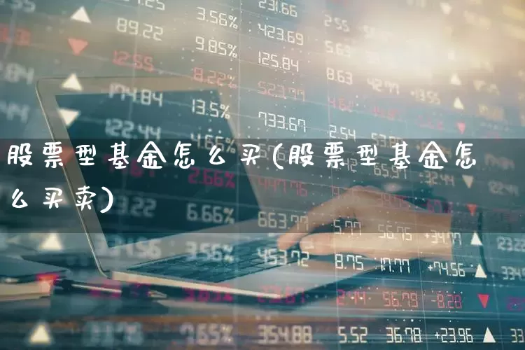 股票型基金怎么买(股票型基金怎么买卖)_https://www.wanyuyiyao.com_创业板_第1张
