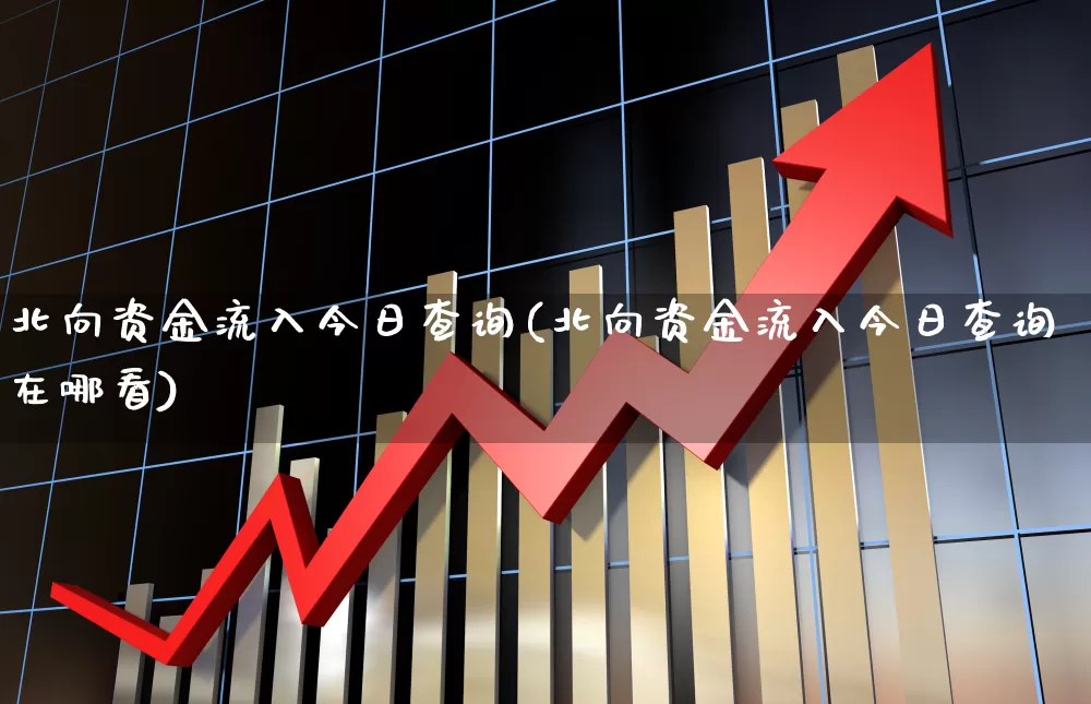 北向资金流入今日查询(北向资金流入今日查询在哪看)_https://www.wanyuyiyao.com_北交所_第1张