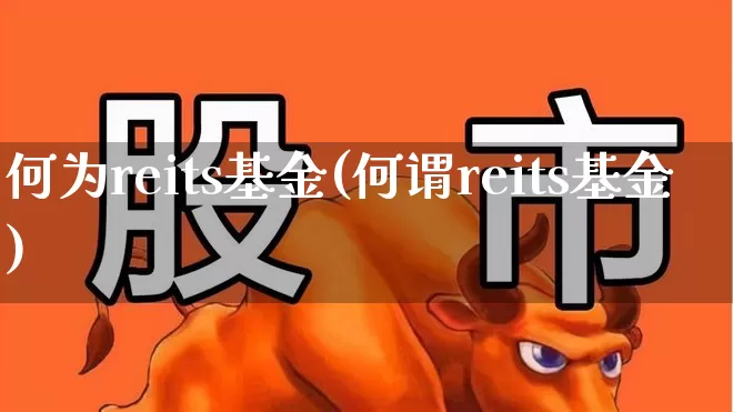 何为reits基金(何谓reits基金)_https://www.wanyuyiyao.com_深交所_第1张