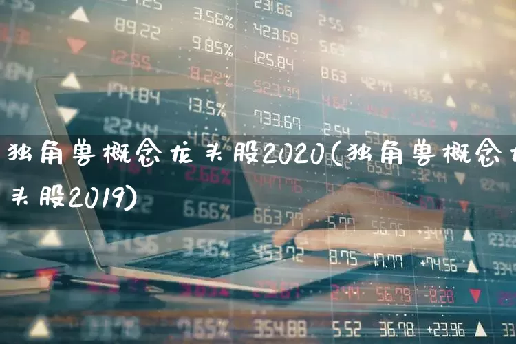 独角兽概念龙头股2020(独角兽概念龙头股2019)_https://www.wanyuyiyao.com_创业板_第1张