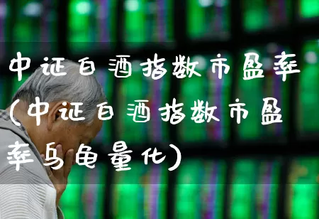 中证白酒指数市盈率(中证白酒指数市盈率乌龟量化)_https://www.wanyuyiyao.com_科创板_第1张