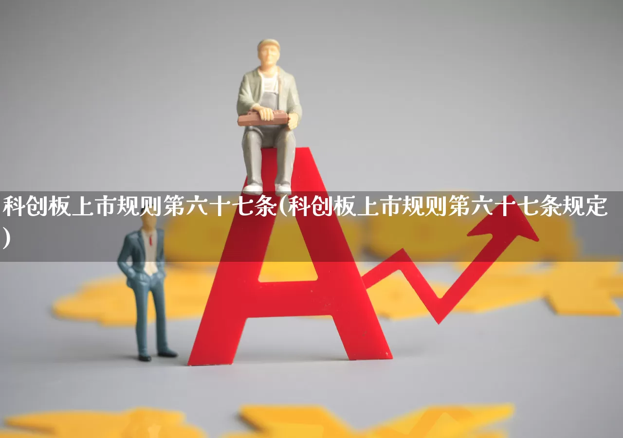 科创板上市规则第六十七条(科创板上市规则第六十七条规定)_https://www.wanyuyiyao.com_深交所_第1张