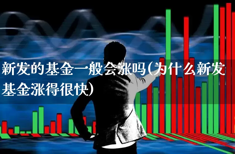 新发的基金一般会涨吗(为什么新发基金涨得很快)_https://www.wanyuyiyao.com_创业板_第1张