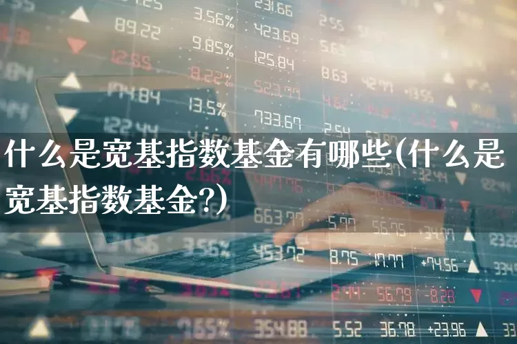 什么是宽基指数基金有哪些(什么是宽基指数基金?)_https://www.wanyuyiyao.com_科创板_第1张