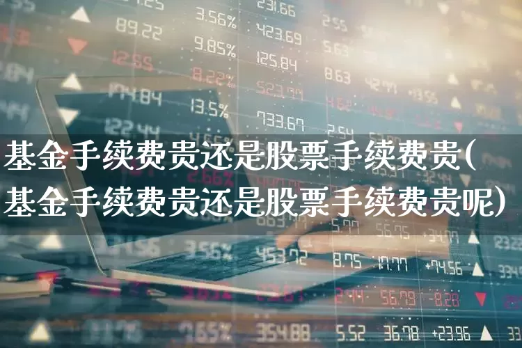 基金手续费贵还是股票手续费贵(基金手续费贵还是股票手续费贵呢)_https://www.wanyuyiyao.com_上交所_第1张