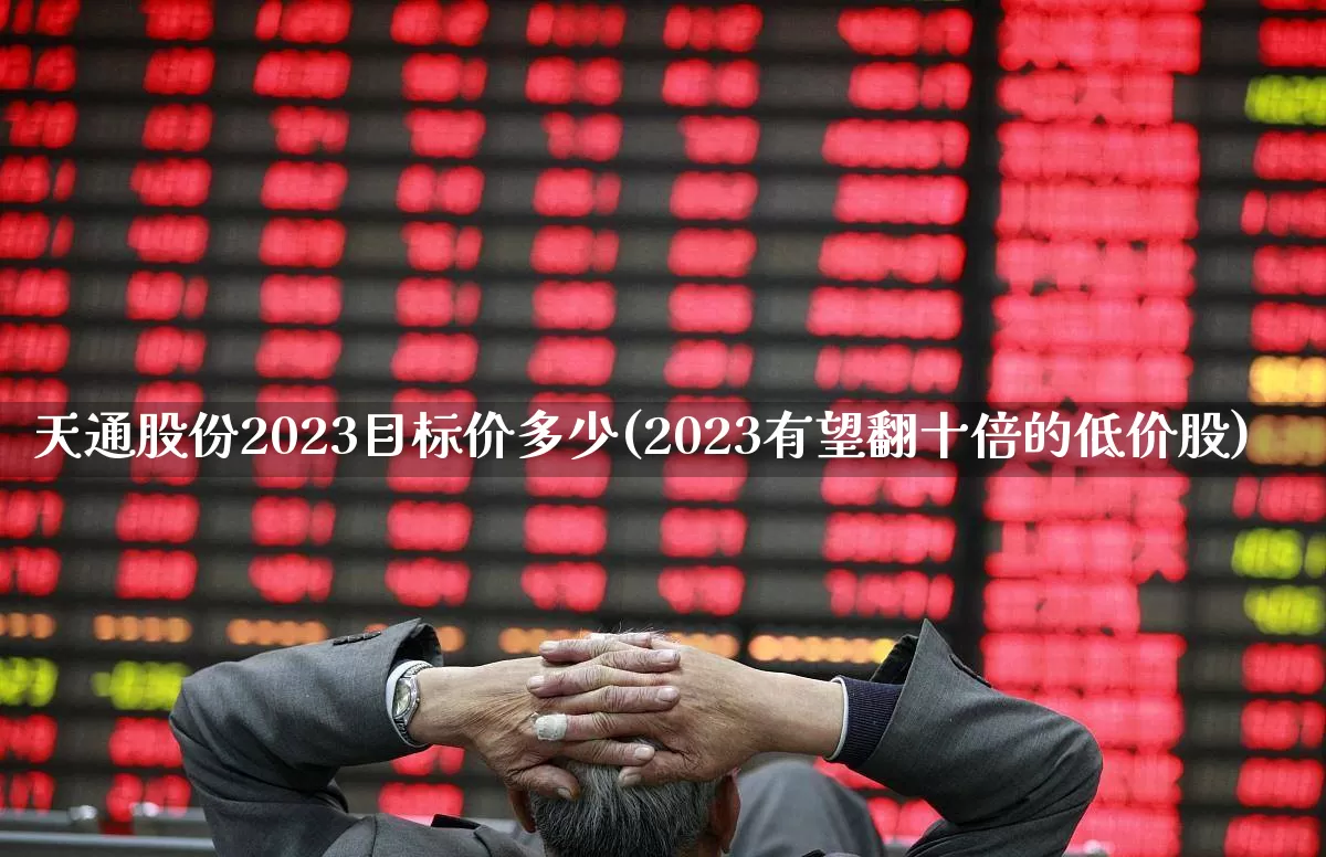 天通股份2023目标价多少(2023有望翻十倍的低价股)_https://www.wanyuyiyao.com_创业板_第1张