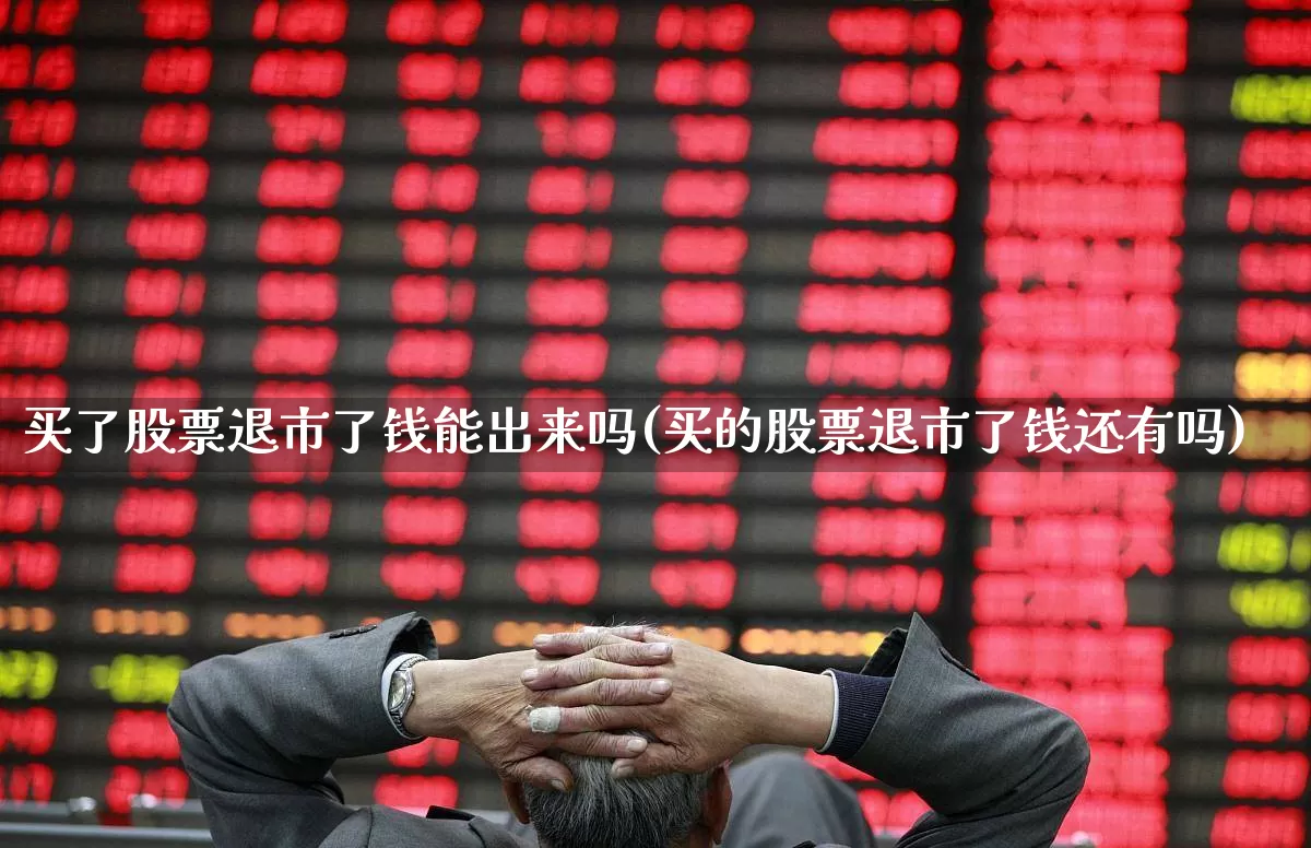 买了股票退市了钱能出来吗(买的股票退市了钱还有吗)_https://www.wanyuyiyao.com_创业板_第1张