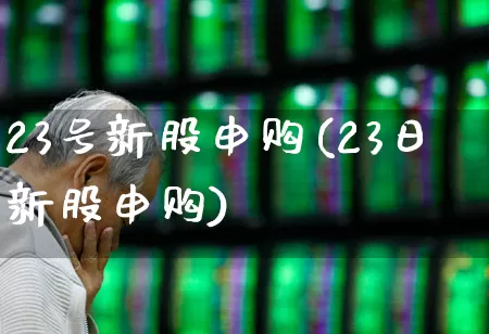 23号新股申购(23日新股申购)_https://www.wanyuyiyao.com_科创板_第1张