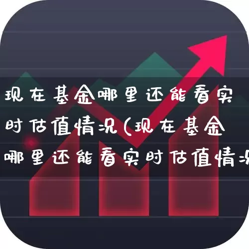 现在基金哪里还能看实时估值情况(现在基金哪里还能看实时估值情况呢)_https://www.wanyuyiyao.com_科创板_第1张