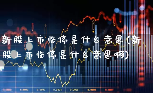 新股上市临停是什么意思(新股上市临停是什么意思啊)_https://www.wanyuyiyao.com_科创板_第1张