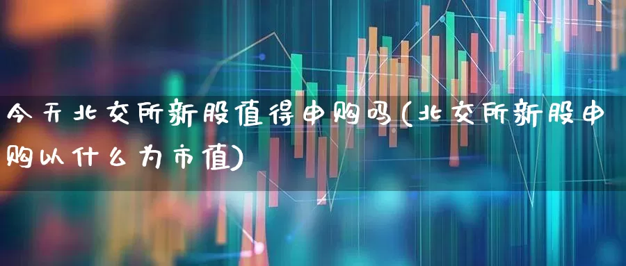 今天北交所新股值得申购吗(北交所新股申购以什么为市值)_https://www.wanyuyiyao.com_上交所_第1张
