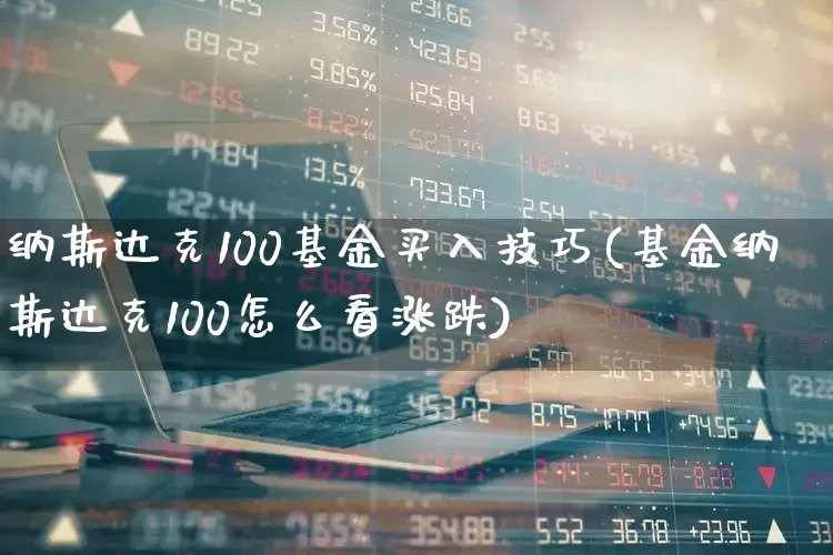 纳斯达克100基金买入技巧(基金纳斯达克100怎么看涨跌)_https://www.wanyuyiyao.com_创业板_第1张