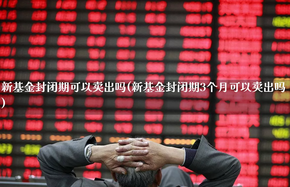 新基金封闭期可以卖出吗(新基金封闭期3个月可以卖出吗)_https://www.wanyuyiyao.com_创业板_第1张