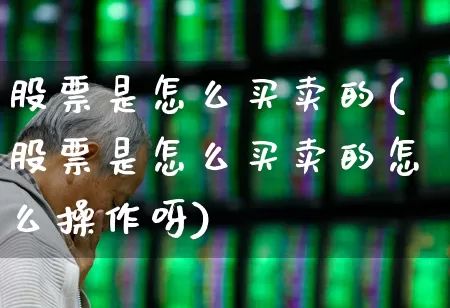 股票是怎么买卖的(股票是怎么买卖的怎么操作呀)_https://www.wanyuyiyao.com_上交所_第1张